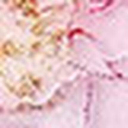 Ｔバックショーツ, , swatch