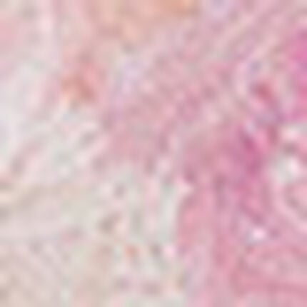 ショーツ, , swatch