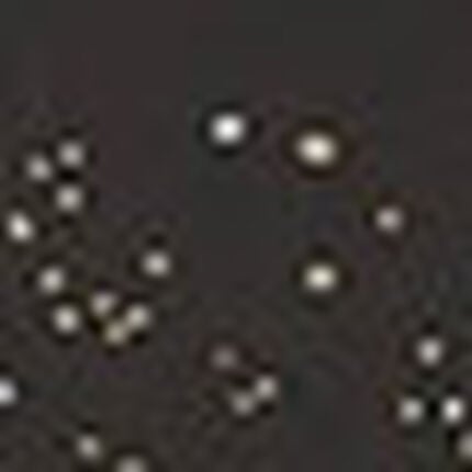 スポーツタイツ, , swatch