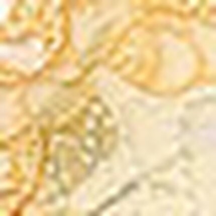 Ｔバックショーツ, , swatch