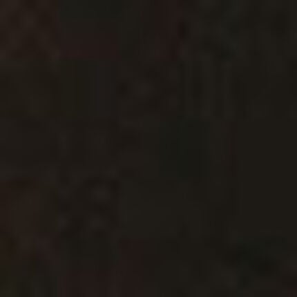 ベアトップ, , swatch