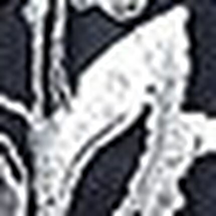 ガーターベルト, , swatch