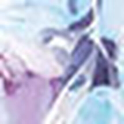 レギンス, , swatch