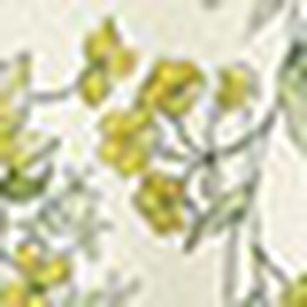 アウター　トップス, , swatch