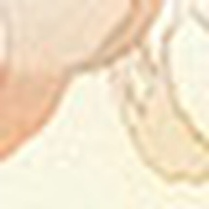 プリントトップブラ, , swatch