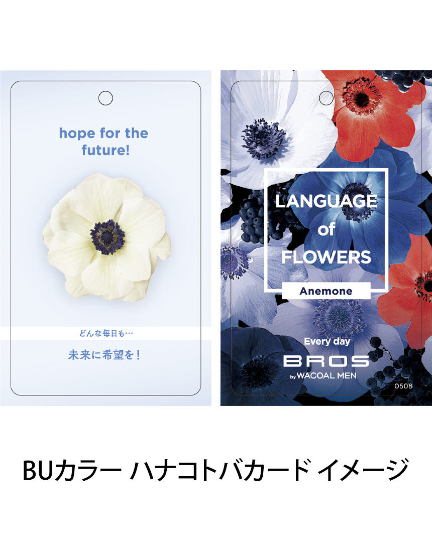 メンズボクサーパンツ, , hi-res