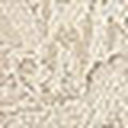 ショーツ, , swatch