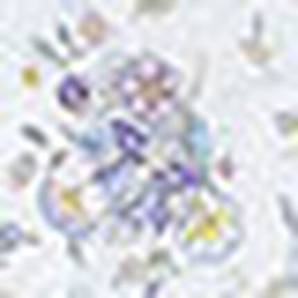 パジャマ, , swatch