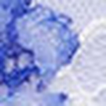 Ｔバックショーツ, , swatch