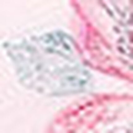 レディスショーツ（ボーイレングス）, , swatch