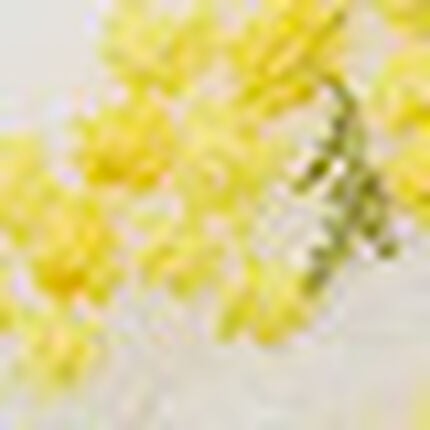 ブラジャー, , swatch