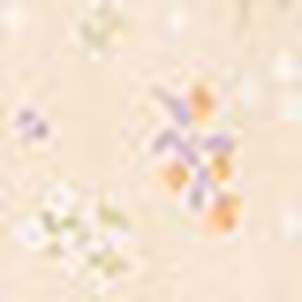 パジャマ, , swatch