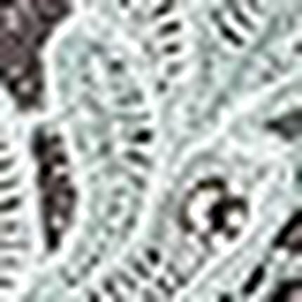 ３／４カップブラ, , swatch