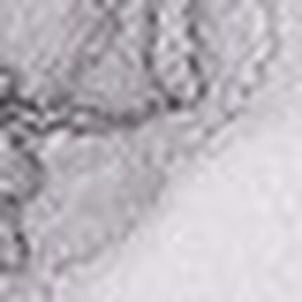 ショーツ, , swatch