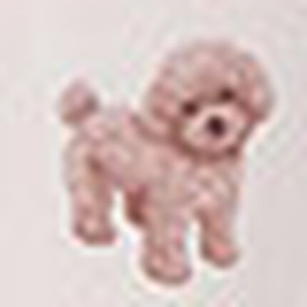 ルームウェア, , swatch