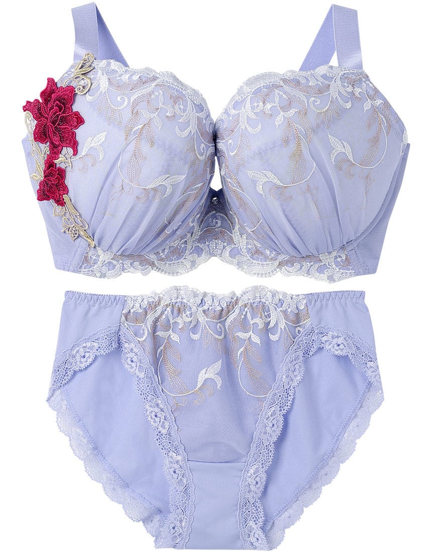 美胸脇高 グラマーサイズ ブラ&ショーツセット