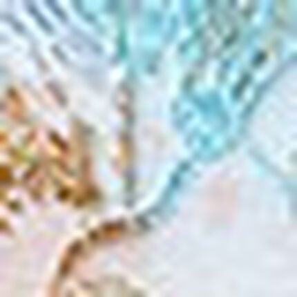 レディスショーツ, , swatch