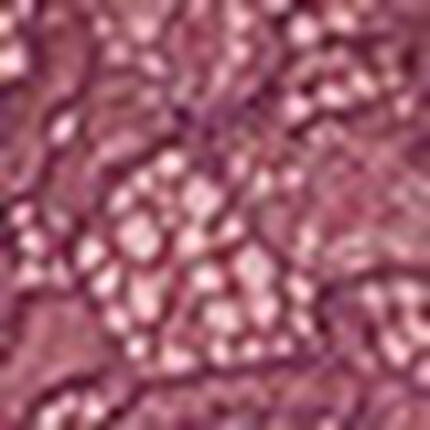 ブラジャー, , swatch