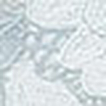 Ｔバックショーツ, , swatch