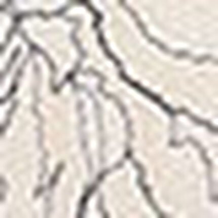 ワイヤーブラ（３／４カップ）, , swatch