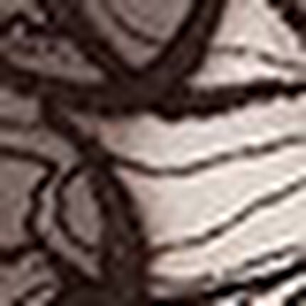 Ｔバックショーツ, , swatch