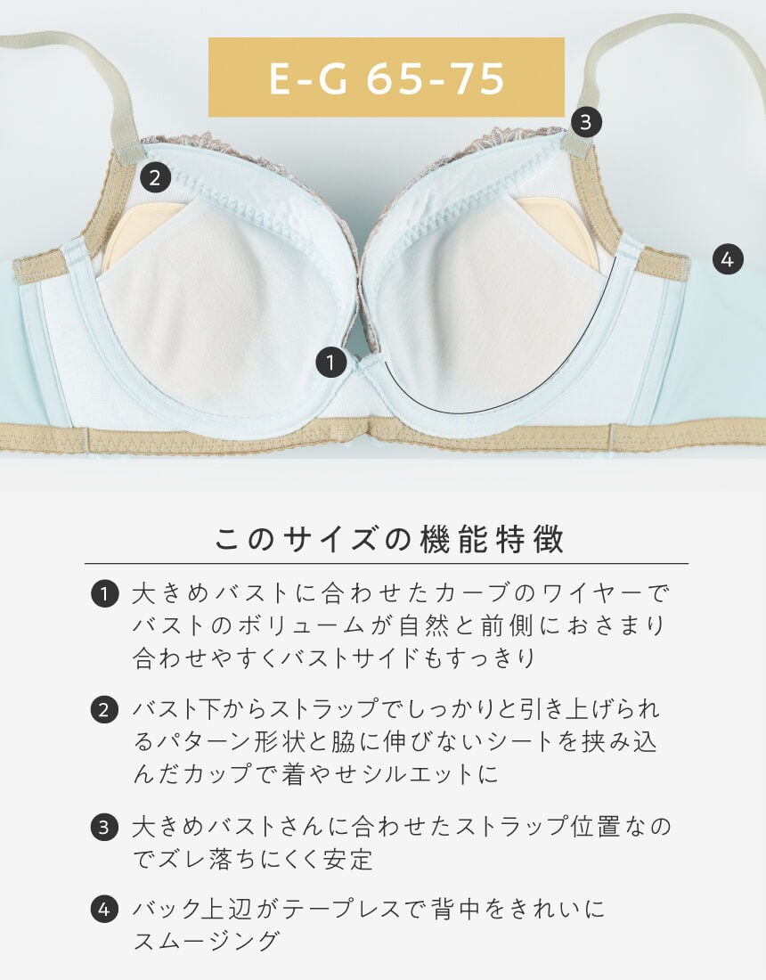 ワイヤーブラ（３／４カップ）, , hi-res