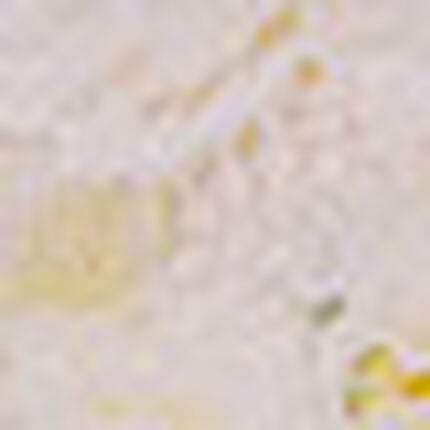 ノンワイヤーブラ, , swatch