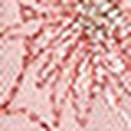 ショーツ, , swatch