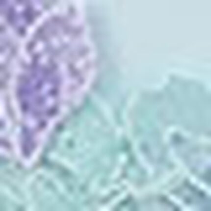 ショーツ, , swatch