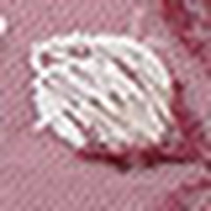 ショーツ, , swatch