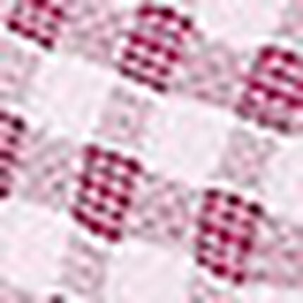 ブラ＆ショーツセット, , swatch