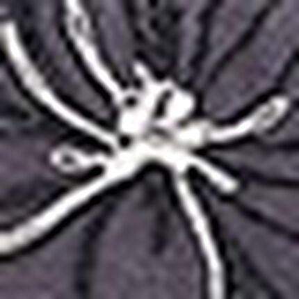 Ｔバックショーツ, , swatch