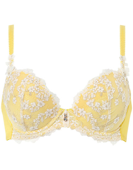 ３／４カップブラ, , main