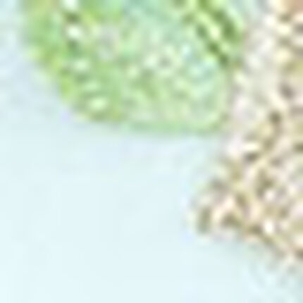 Ｔバックショーツ, , swatch