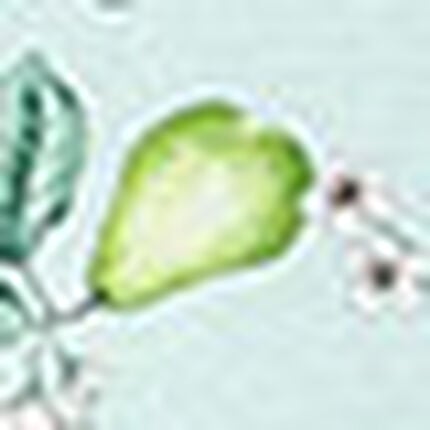 パジャマ, , swatch