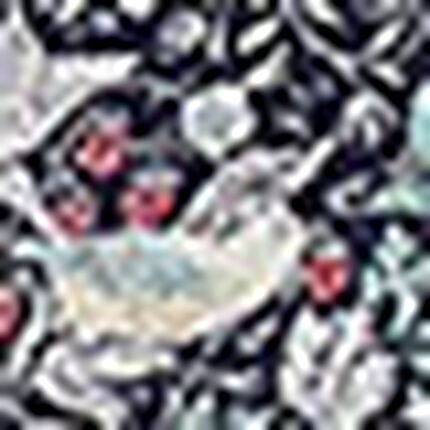 Ｖ＆Ａ　いちご泥棒柄エプロン, , swatch