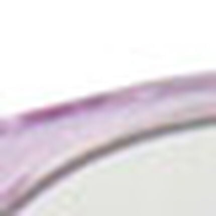 調光サングラス, , swatch