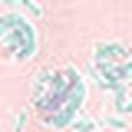 パジャマ, , swatch