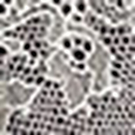 ショーツ, , swatch