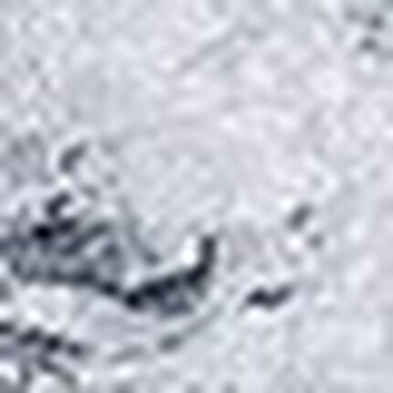 Ｔバックショーツ, , swatch