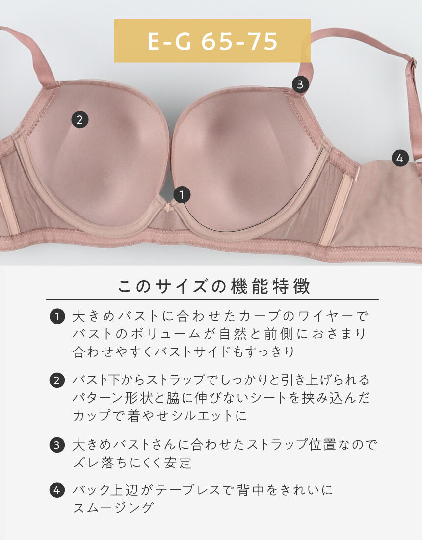 7名さま　B4サイズ　3/9まで アンフィ 4つのサイズ別設計から生まれたあなたのためのブラ