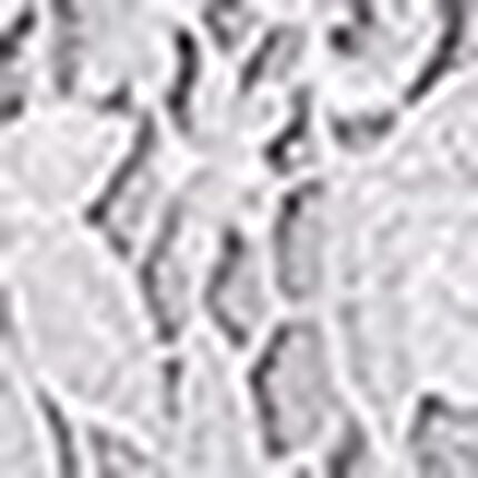 ３／４カップブラ, , swatch