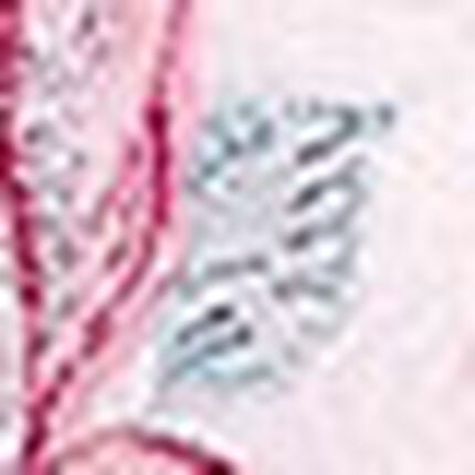 ワイヤーブラ（３／４カップ）, , swatch