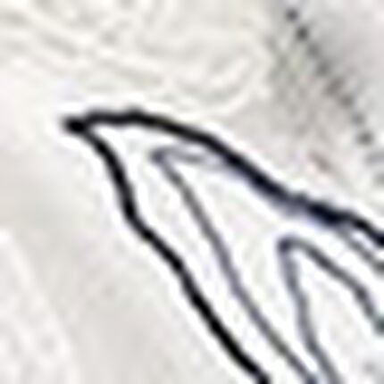 Ｔバックショーツ, , swatch