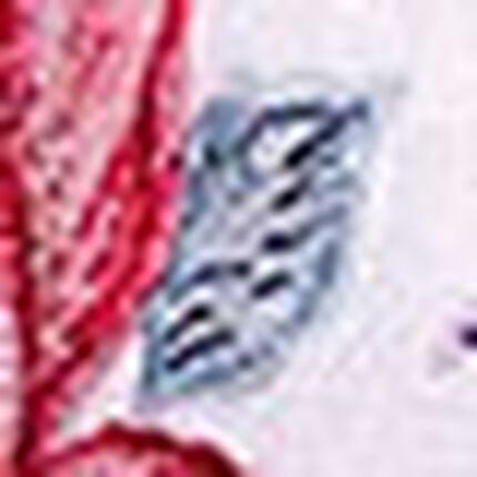 ワイヤーブラ（３／４カップ）, , swatch