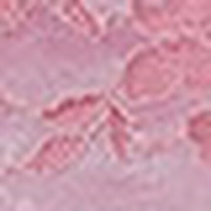 ショーツ, , swatch