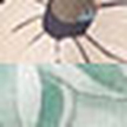 ボクサーパンツ（前閉じ）, , swatch