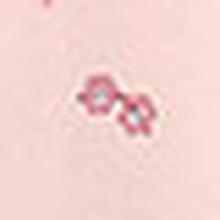 大人用パジャマ（ボトムス）, , swatch