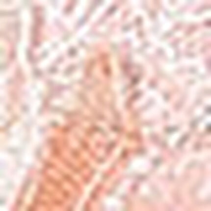 ３／４カップブラ, , swatch