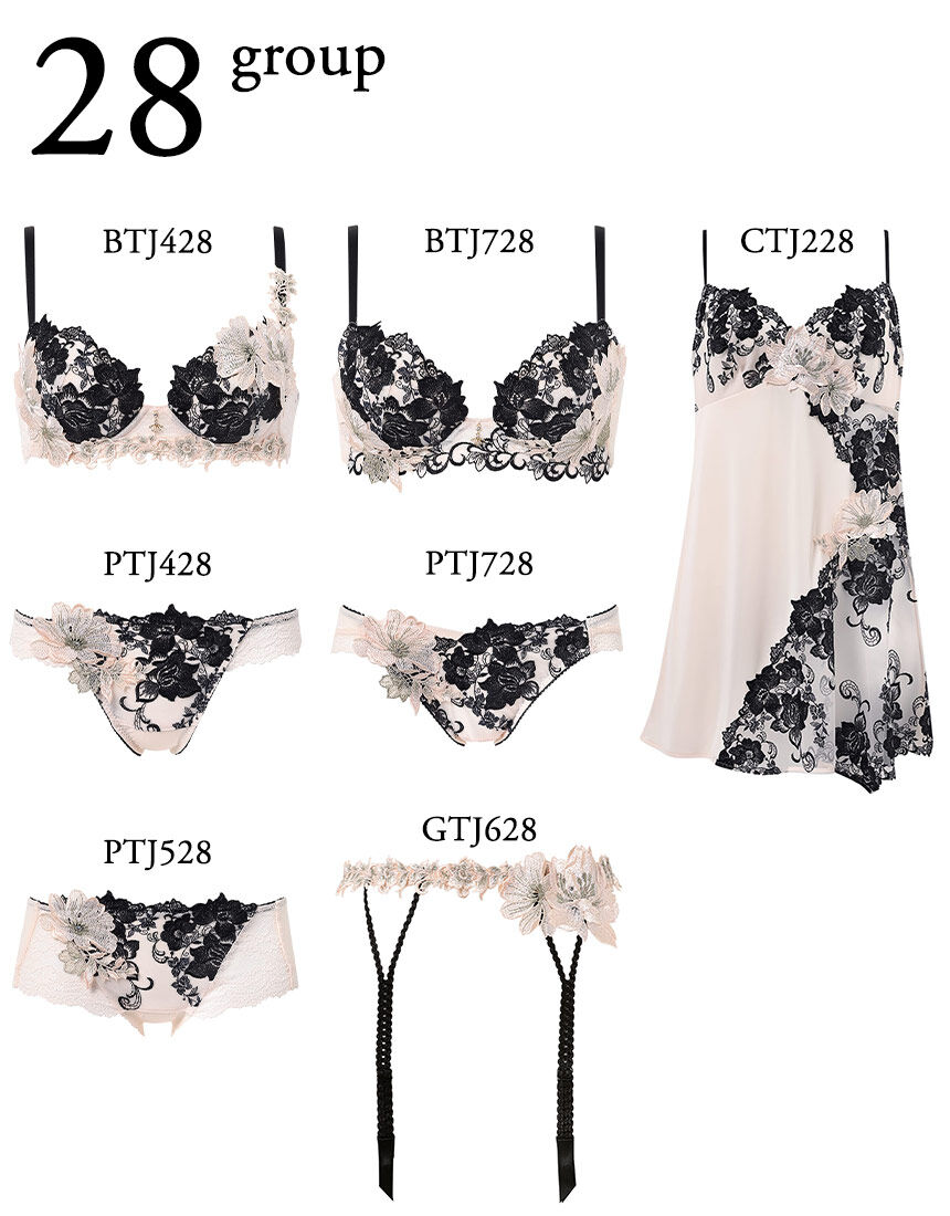 Salute 04G Rich Veil Bra 3/4カップブラ ショーツ Salute 04G Rich Veil Bra 3/4カップブラ ショーツ